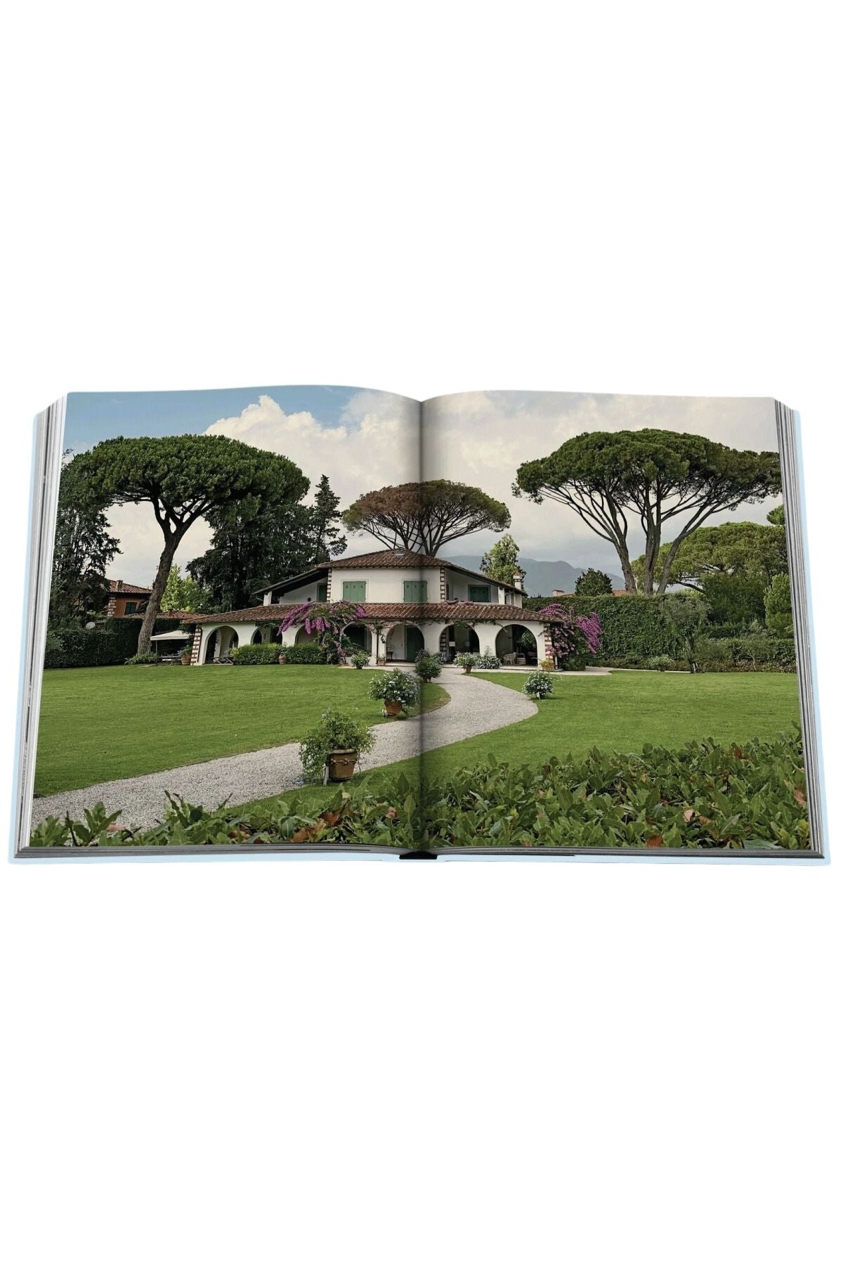 Assouline Forte dei Marmi