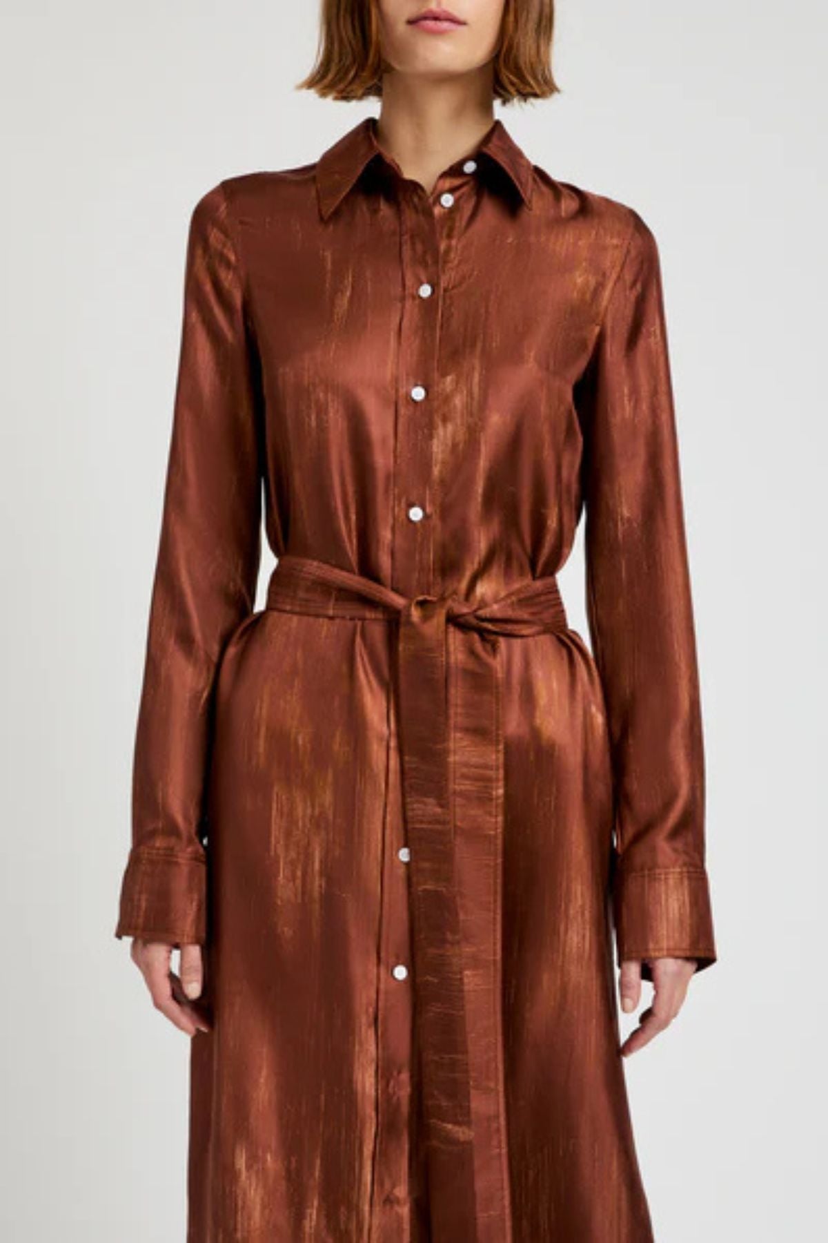 Proenza Schouler Amaya Dress - Sienna Multi