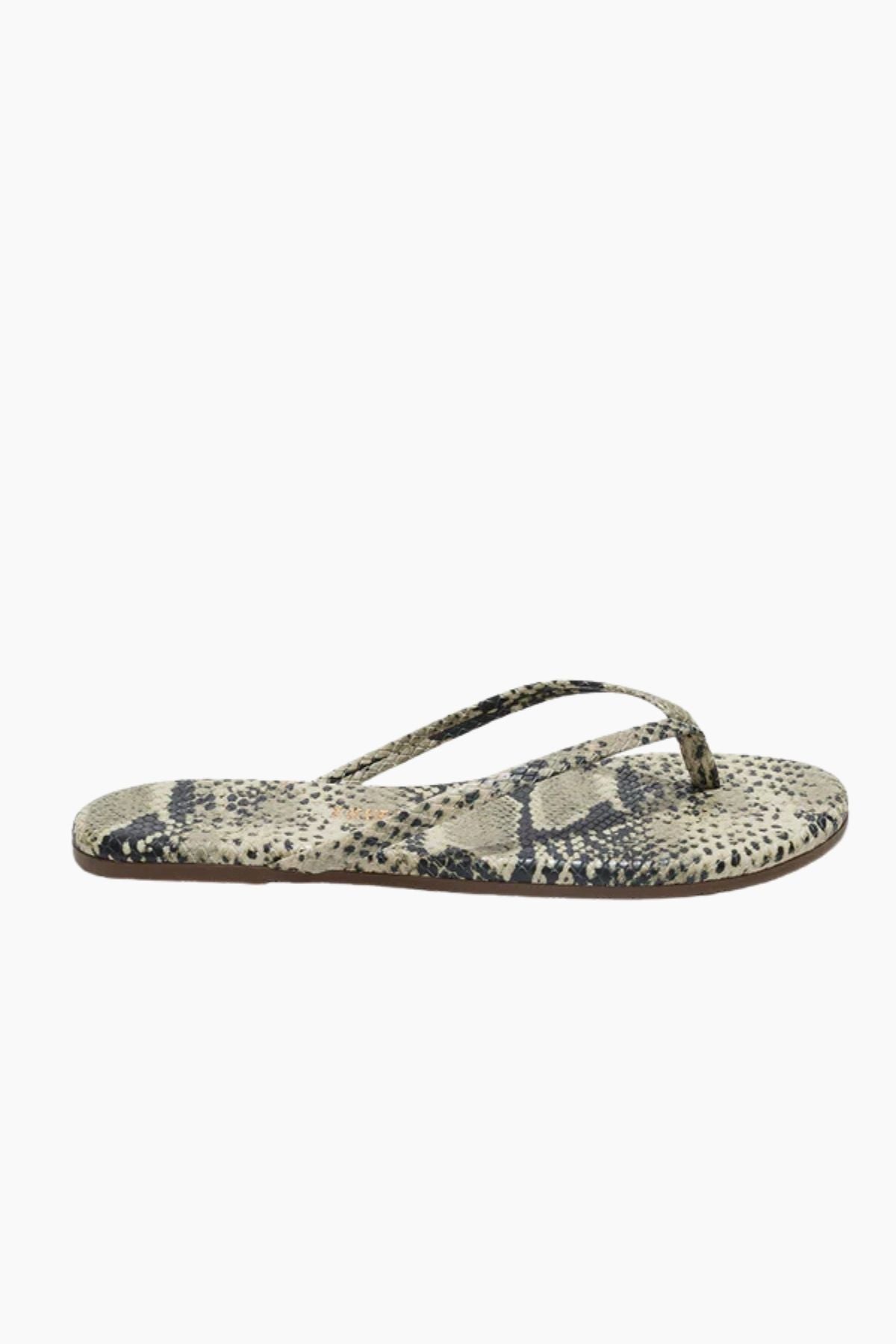 TKEES Studio Exotics - Sandsnake