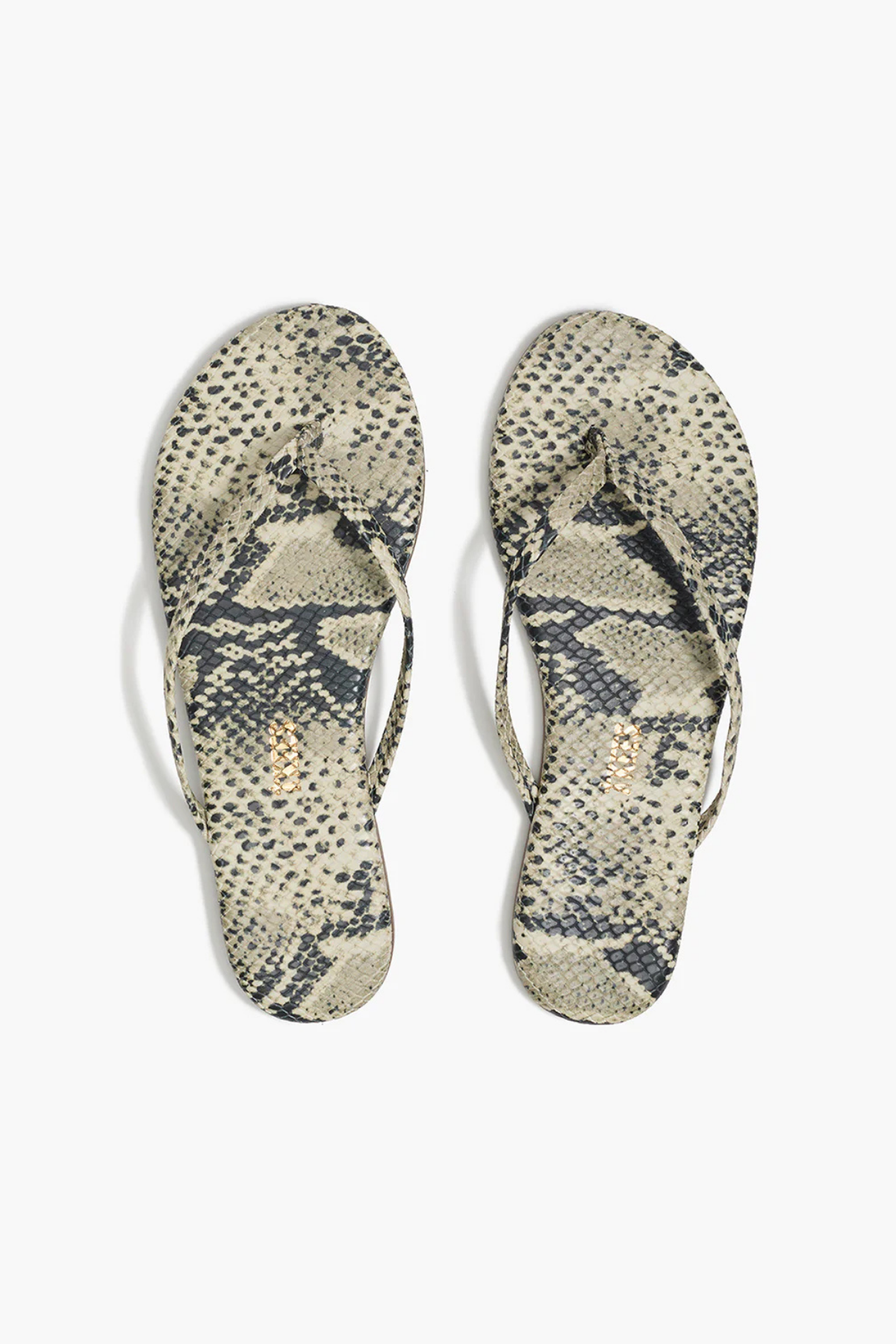 TKEES Studio Exotics - Sandsnake