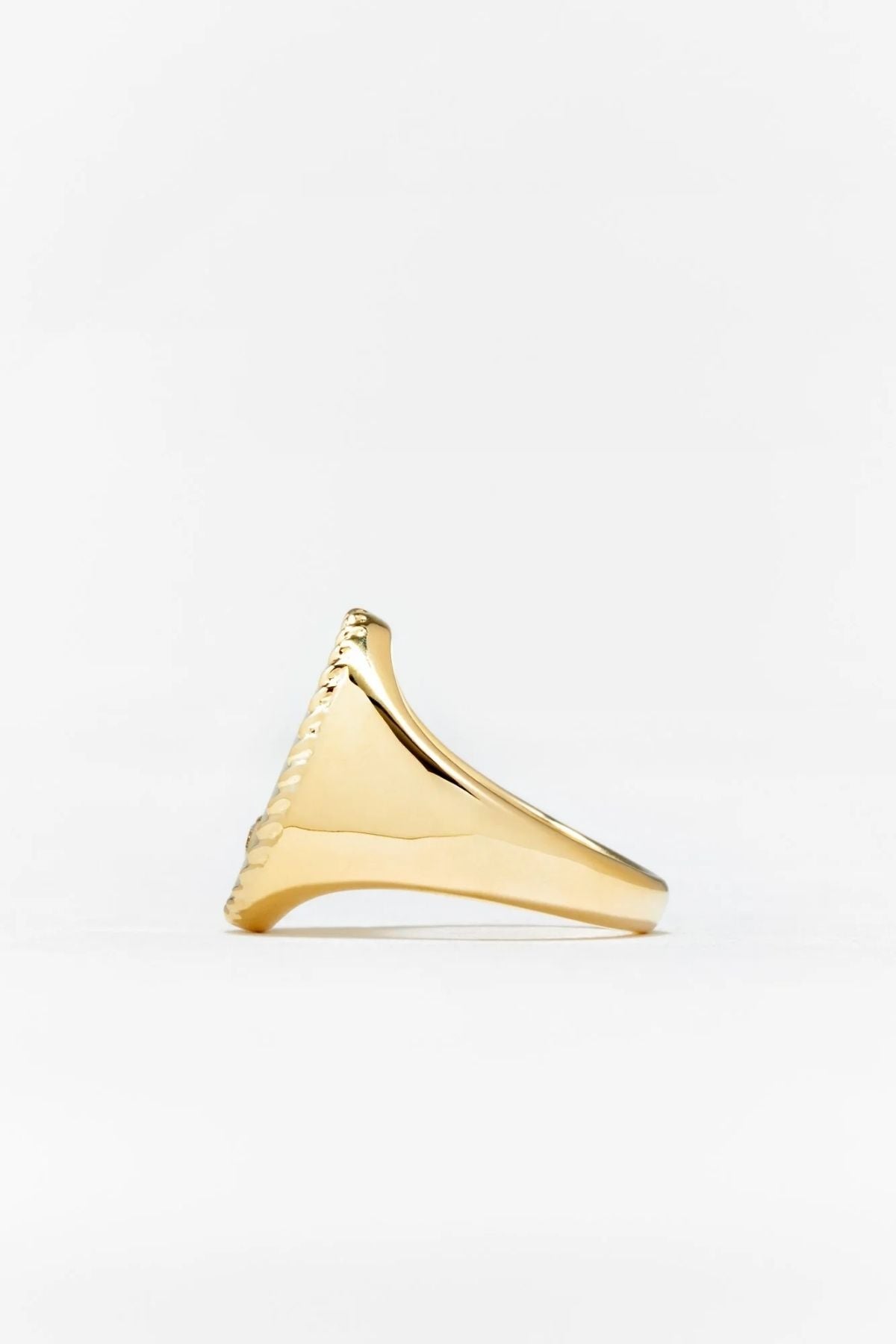 Yvonne Léon Large Red Agate Oval Chevalier Ring - Yellow Gold