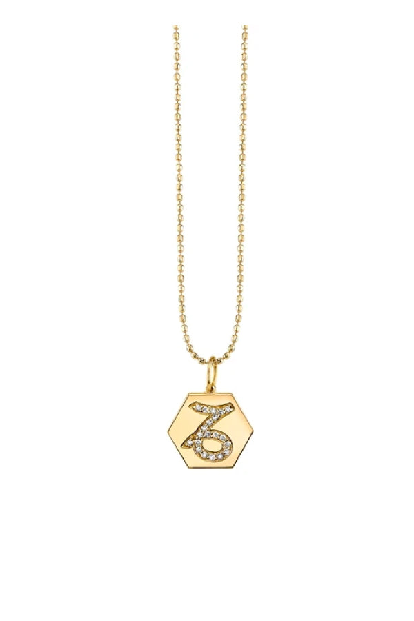 Sydney Evan C32588-Y18XT Hexagon Diamond Zodiac Charm Necklace - Capricorn