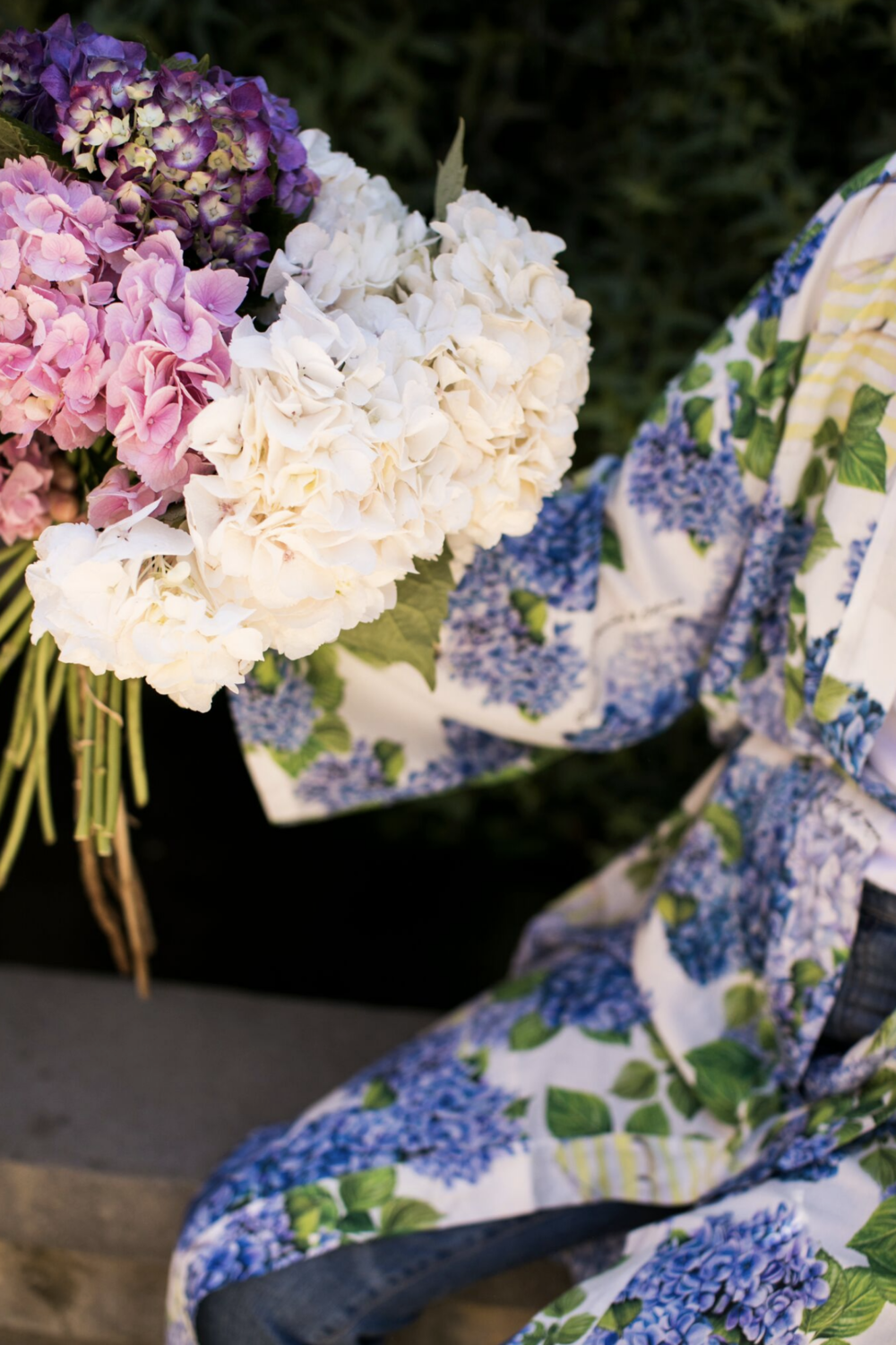 HYDRANGEA HEAVEN