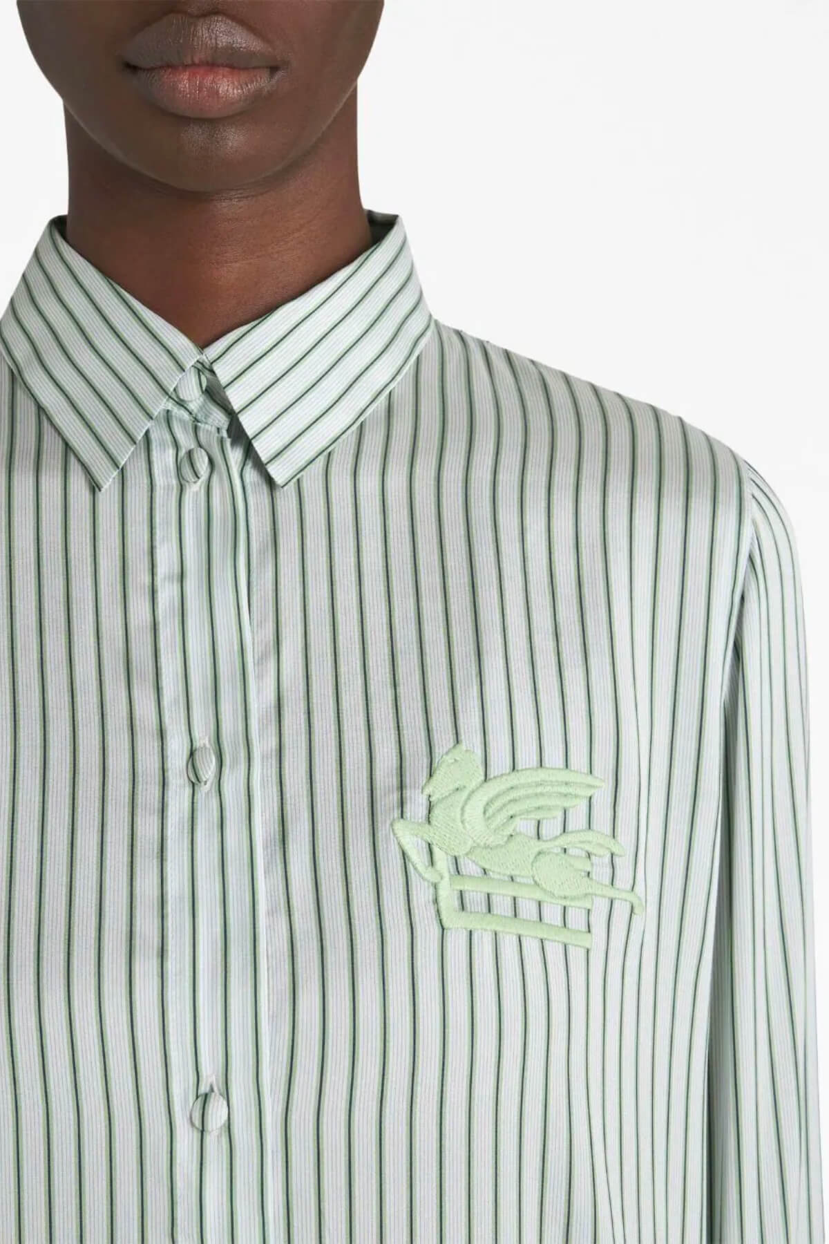 Etro Pinstripe Silk Shirt - Green