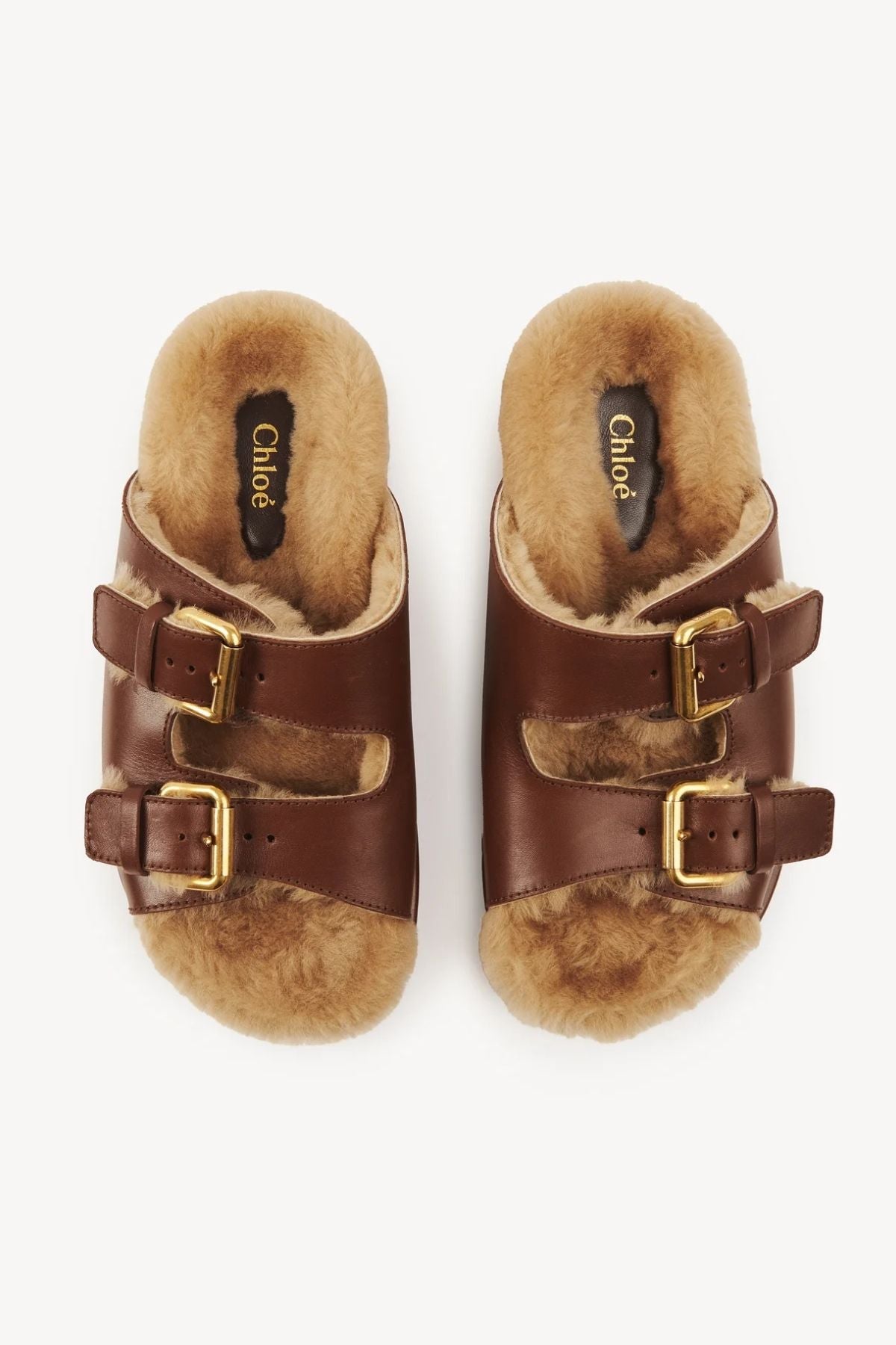 Chloé Nil Slide Sooty Brown