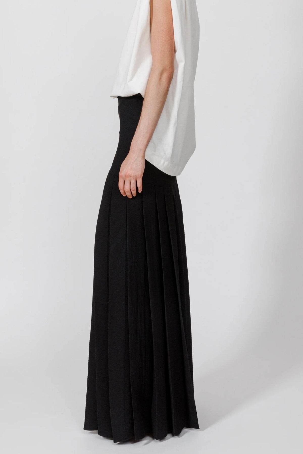 Petar Petrov Soft Noise Pleated Skirt - Black