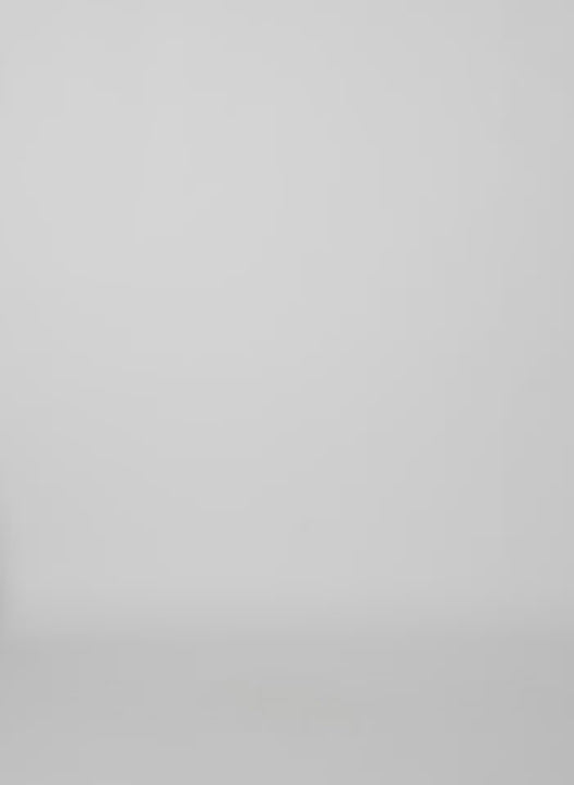 Tibi Nylon Lantern Skirt - Caramel Latte