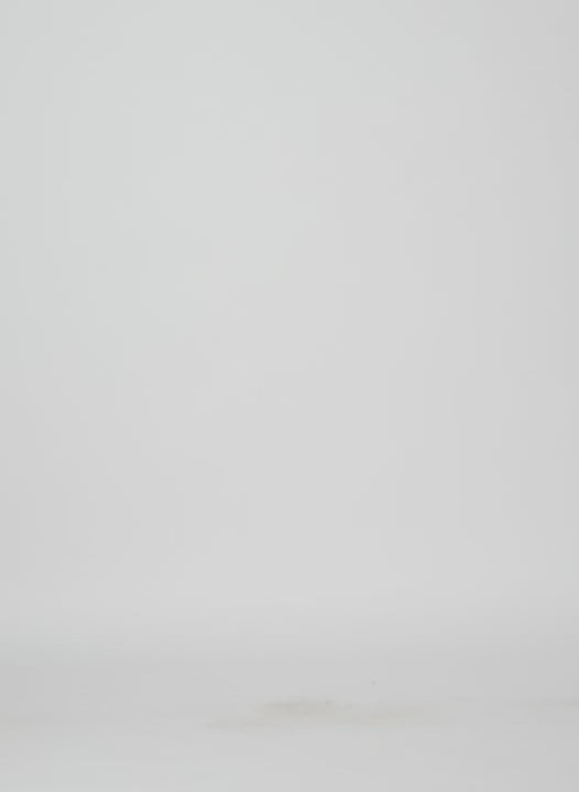 Tibi Organza Full Skirt - Black