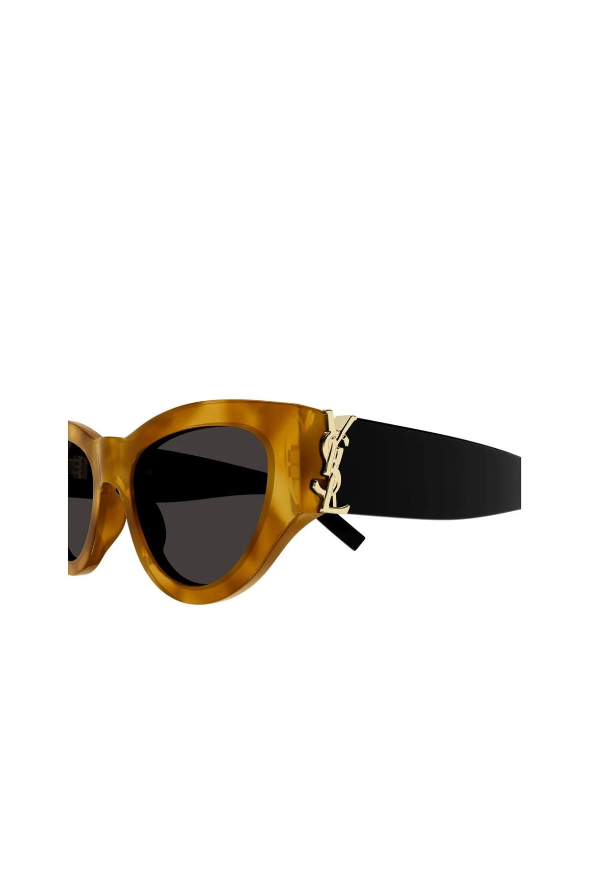 Saint Laurent SLM94007 - Havana