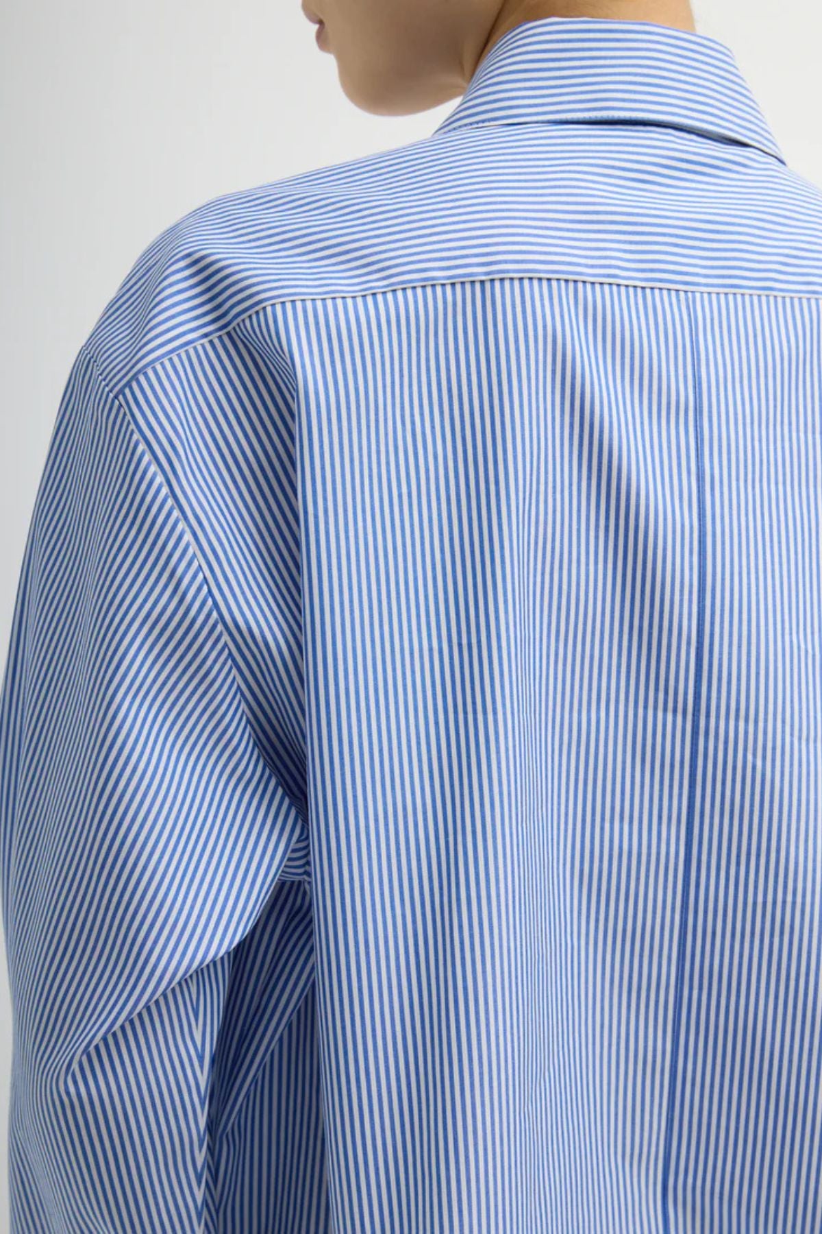 Tibi Striped Shirting Easy Tuxedo Shirt - Blue Multi