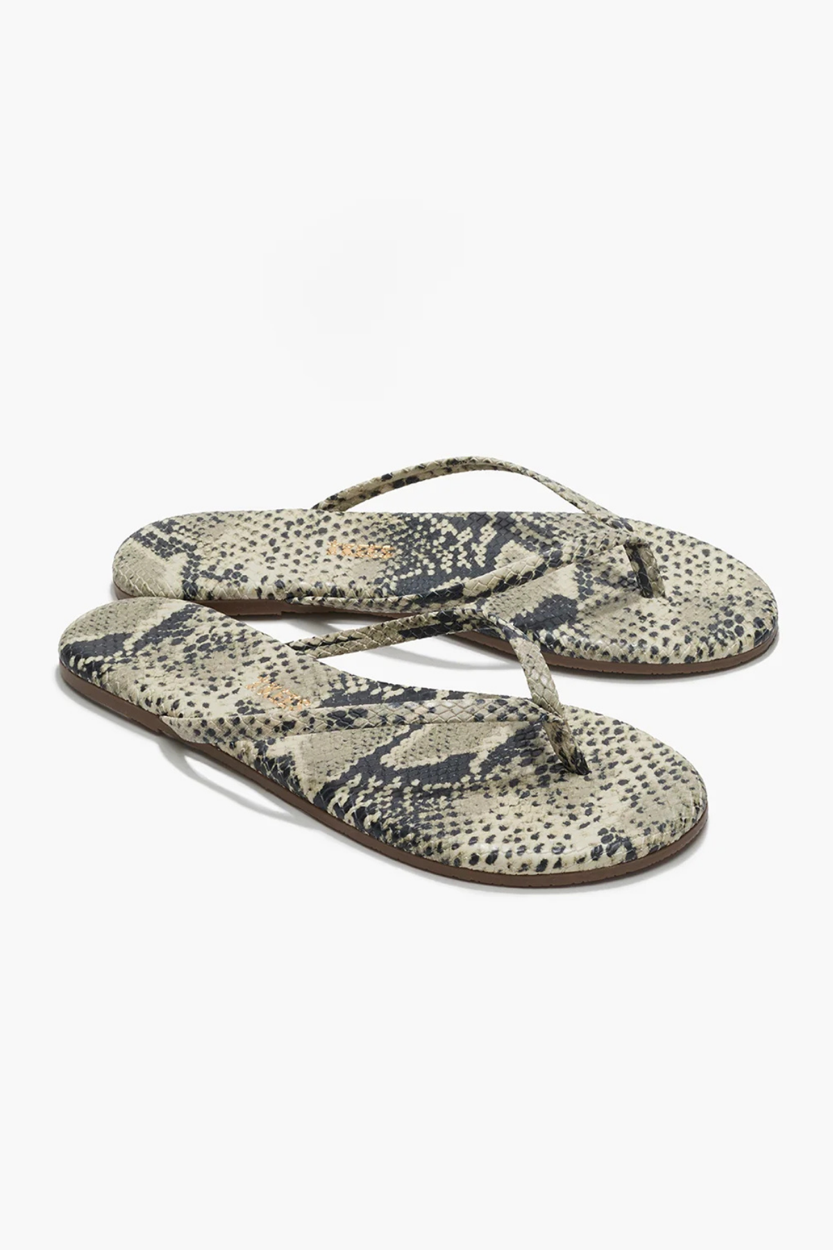 TKEES Studio Exotics - Sandsnake